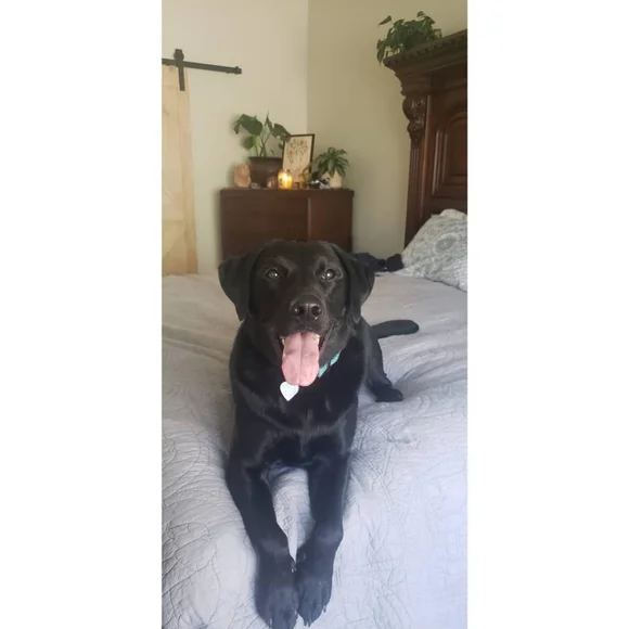 WELCOME ♡ - Picture 3 of 10